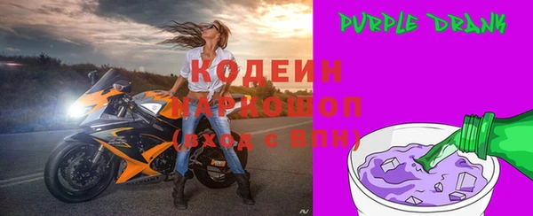 хмурый Пересвет
