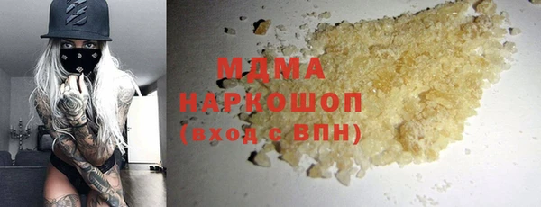 хмурый Пересвет