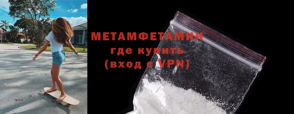 хмурый Пересвет