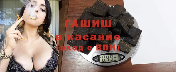 хмурый Пересвет
