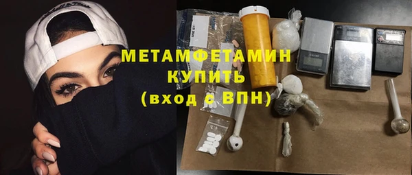 хмурый Пересвет
