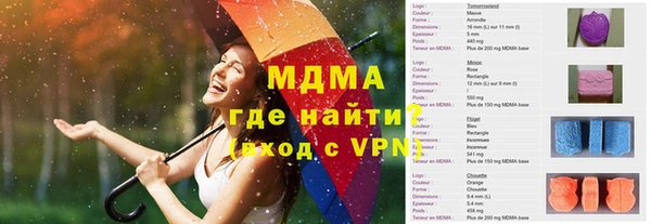 хмурый Пересвет