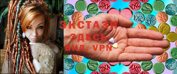 хмурый Пересвет