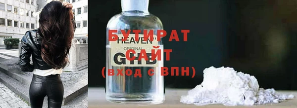 хмурый Пересвет
