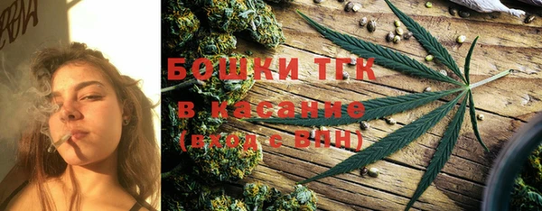 хмурый Пересвет