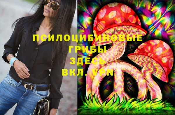 хмурый Пересвет