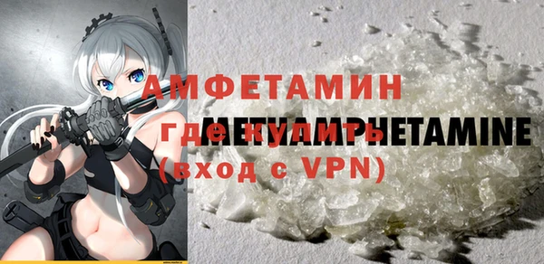 хмурый Пересвет