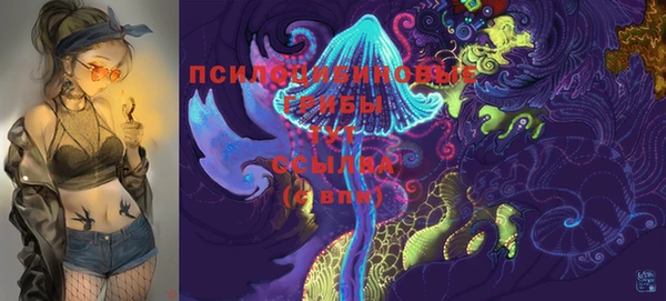 прущая мука Пестово