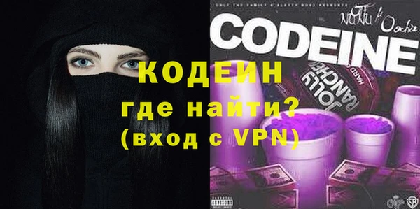 хмурый Пересвет
