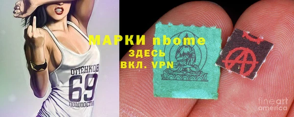 хмурый Пересвет