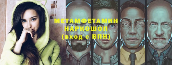 хмурый Пересвет